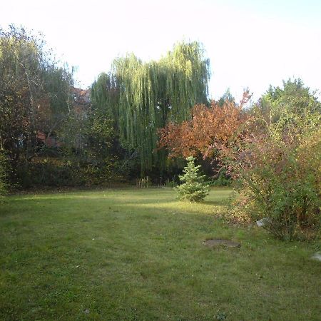 Aulich Apartman Miškovec Exteriér fotografie