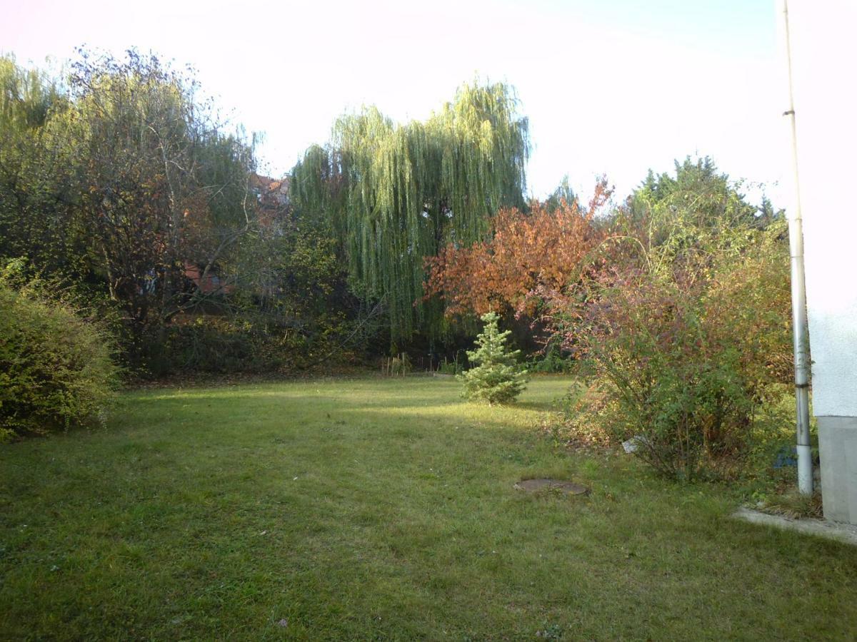 Aulich Apartman Miškovec Exteriér fotografie